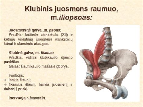 Klubinis juosmens raumuo