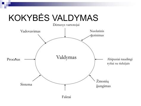 Kokybės vadybos principai