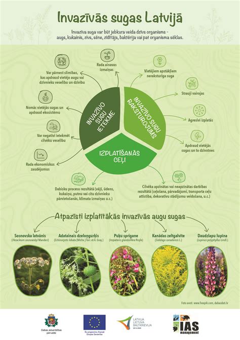 Komandos darbo infografikas