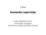 Komandos supervizija
