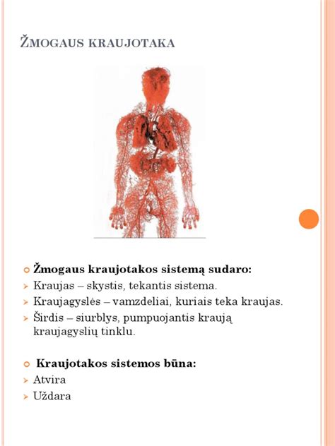 Kraujotaka smegenyse