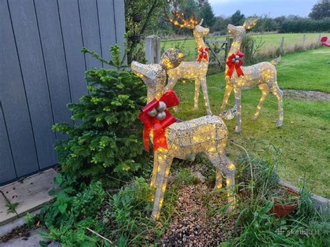 Lauko kalėdinės dekoracijos