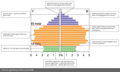Lietuvos gyventojų amžiaus piramidė