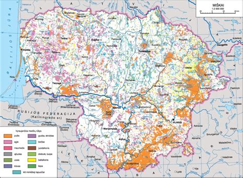 Lietuvos miškų žemėlapis