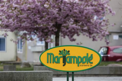 Marijampolės vaizdas