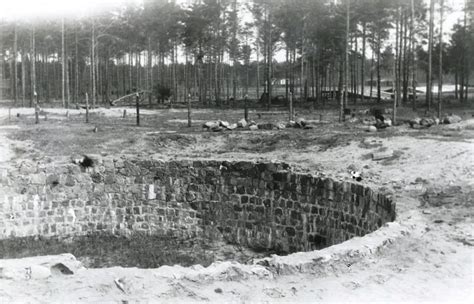 Masinė žydų žudymo vieta Panerių miške