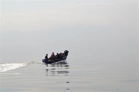 Menkių ištekliai Baltijos jūroje