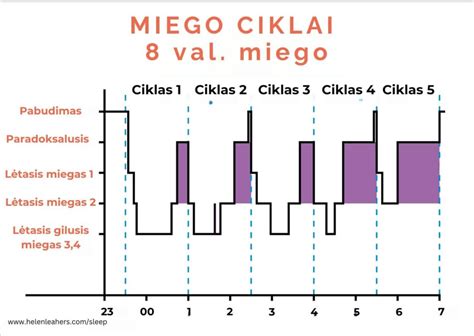 Miego ciklas