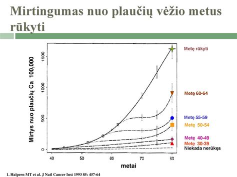 Mirtingumas 2012-2013