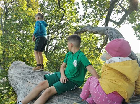 Motinystė ir vaikų priežiūra