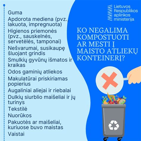 Namų aplinkos pritaikymas po insulto