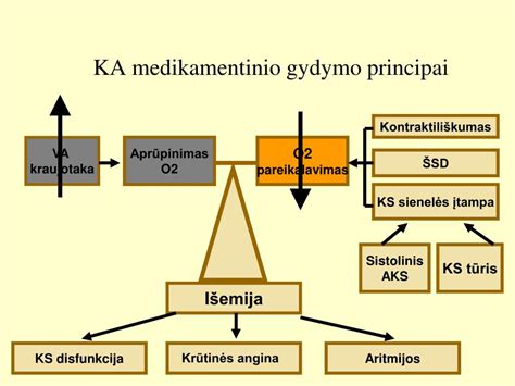 Narkomanijos gydymo principai