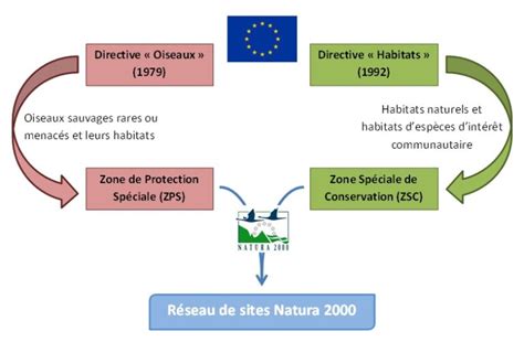 Natura 2000 išmokos miškuose schema