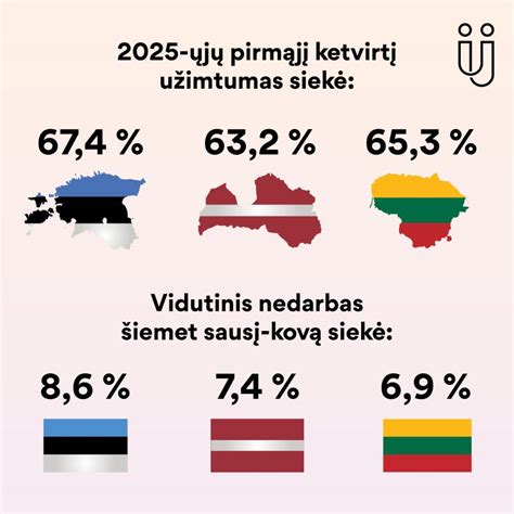 Nedarbo lygis Lietuvoje
