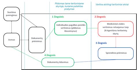 Negalios vertinimo schema