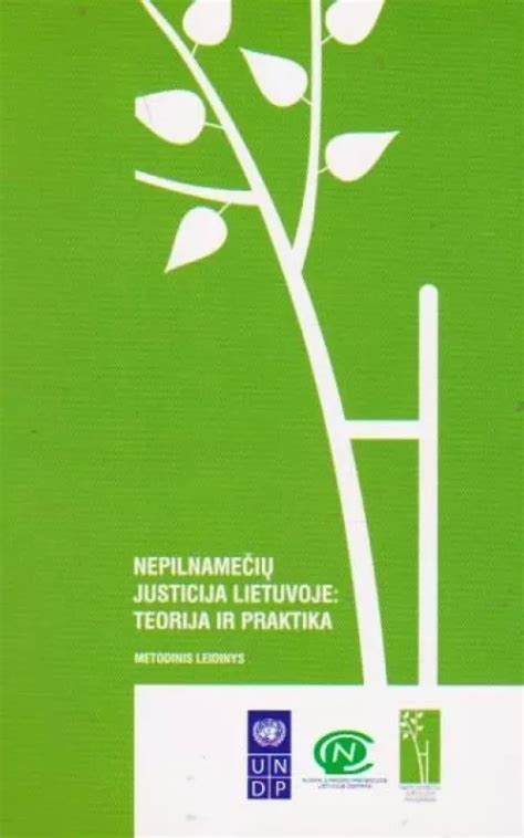 Nepilnamečių justicija