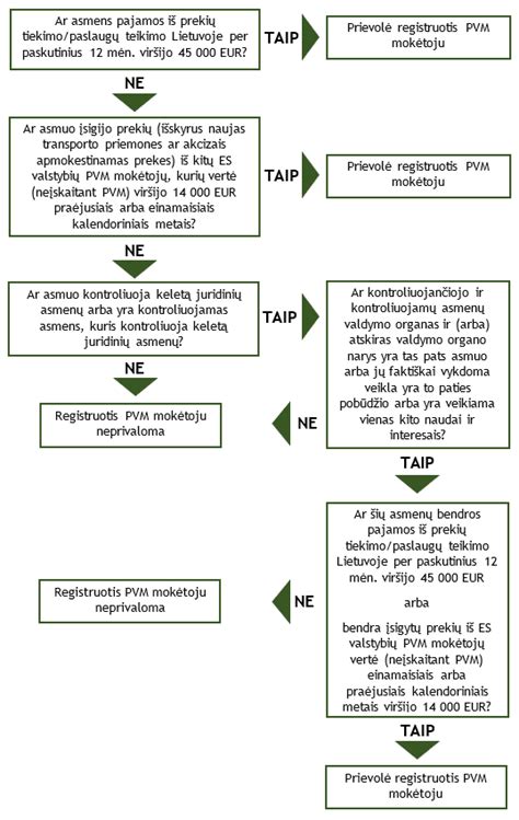 PVM registracijos schema