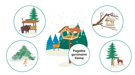 Pagalba gyvūnams žiemą