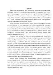 Pagalba patyrus seksualinę prievartą