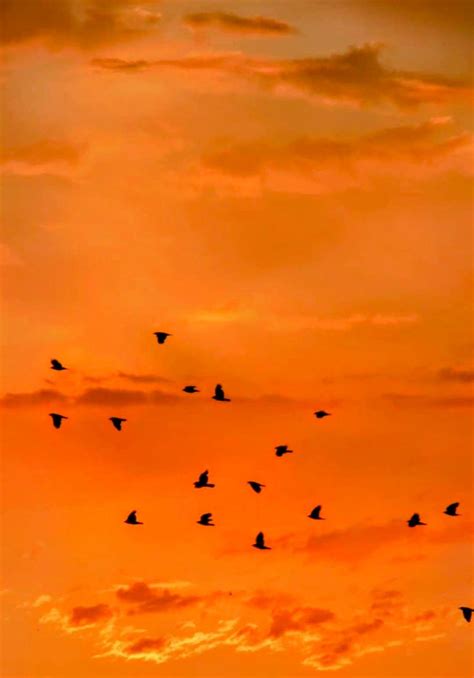 Pagyvenę žmonės Vilniuje