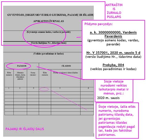 Pajamų deklaravimo pavyzdys