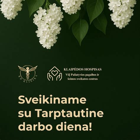 Paliatyvios pagalbos organizavimas