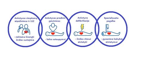 Paliatyvios pagalbos schema