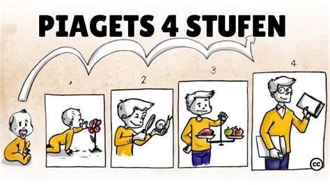 Piaget raidos stadijos