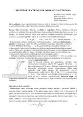 Poliarizacijos schema