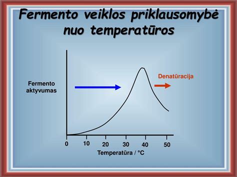 Priklausomybės schema