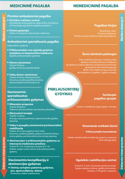 Priklausomybių ligų gydymo organizavimo schema