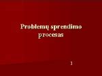 Problemų sprendimo procesas