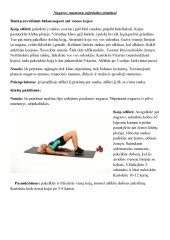 Raumenų stiprinimo pratimai