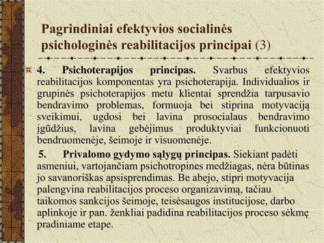 Reabilitacijos principai