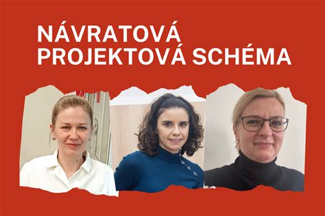 SAV pranešimo pateikimo schema