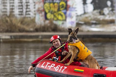 Savanoris su šunimi