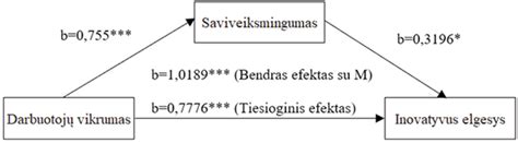 Saviveiksmingumo lygiai
