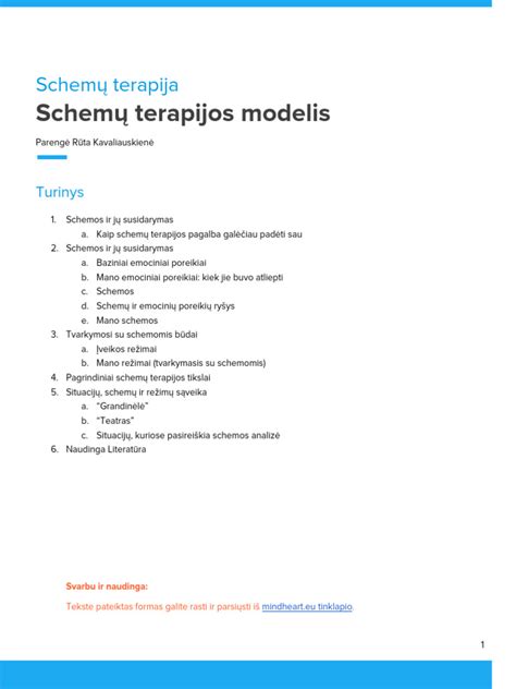 Schemų terapijos schema