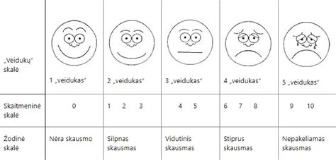 Skausmo įvertinimo skalė