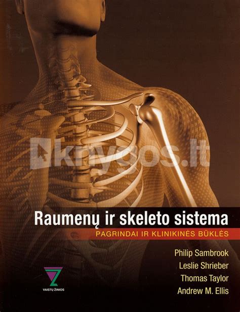 Skeleto ir raumenų sistema