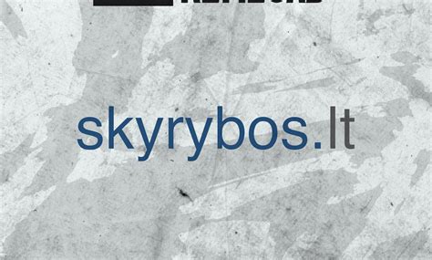 Skyrybos internetu