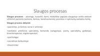 Slaugos proceso schema