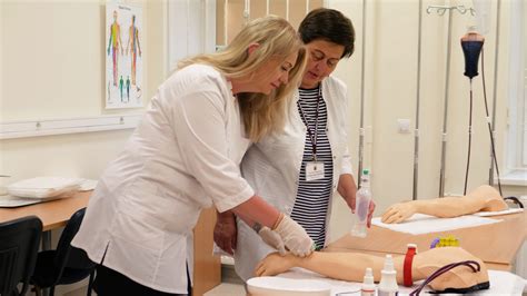 Slaugos studijų programa