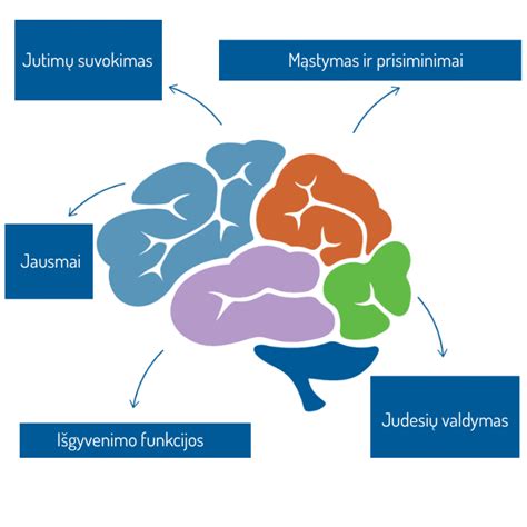 Smegenų sveikatos infografikas