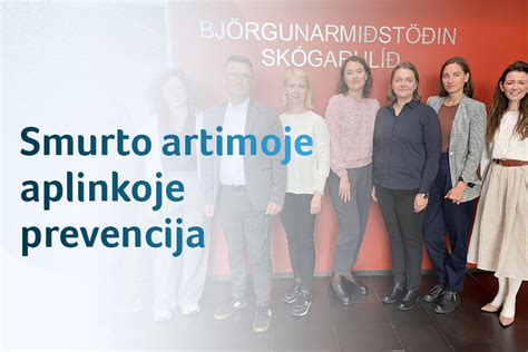 Smurto artimoje aplinkoje infografikas