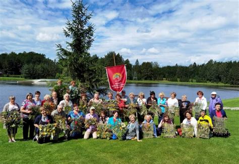 Socialinė Integracija