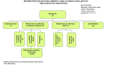 Socialinės globos schema