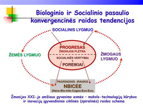 Socialinės identifikacijos teorijos schema