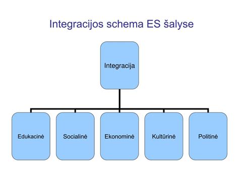 Socialinės integracijos schema