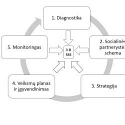 Socialinės partnerystės schema